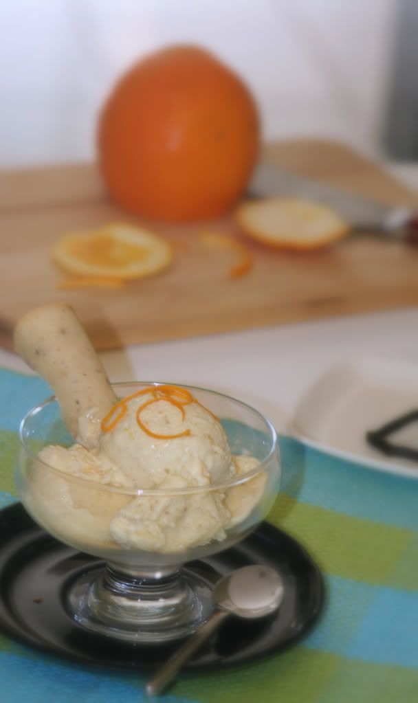 Spice Of Life Gelato di Riso (Rice Gelato), Homemade